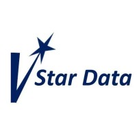 V-Star Data logo - Similar company to Botkin.Ai