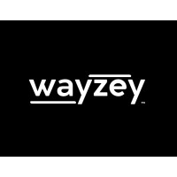 Wayzey logo - Similar company to Ckdigital Academy