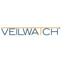 VEILWATCH logo - Similar company to Darwin Networks