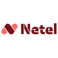 Netel Norway logo - Similar company to Netel Group