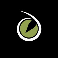 OLHO D'LÍNCE (ODL Artes Gráficas) logo - Similar company to Seabragest,Lda