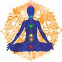 Yoga Miracle logo - Similar company to Sangam Retreat