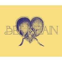 Bee Brain logo - Similar company to Balanced Breakfast