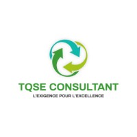 TQSE CONSULTANT logo - Similar company to Anthéa Conseils
