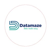 Datamaze Solutions Pvt. Ltd. logo - Similar company to Coders Arcade