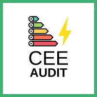 CEE Audit logo - Similar company to Samea Innovation