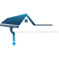 Illinois Gutter Cleaning Experts logo - Similar company to Cleaning.Com™ Technology & Services