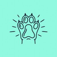 Naturaw | B Corp logo - Similar company to Natural Instinct