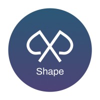 PxP Shape logo - Similar company to Netify Solutions