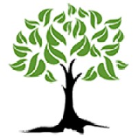 Psychiatry Services Of New York