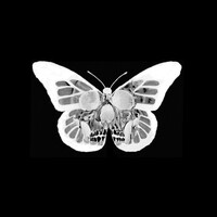 MASEUS Gym logo - Similar company to Integra Spitex Ag