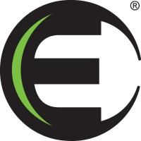 ESI logo - Similar company to Dimeta