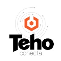 Teho Conecta - Canal Homologado Totvs logo - Similar company to Nexperti