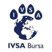 IVSA BURSA logo - Similar company to Ivsa Damanhour
