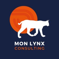 Mon Lynx Consulting logo - Similar company to Sologne Audit Conseil