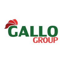 Gallo Group Srl logo - Similar company to Assidir S.R.L.