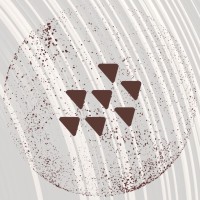 Zaree logo - Similar company to Voastra
