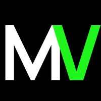 Magnate Ventures logo - Similar company to Linearweb