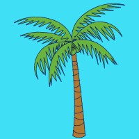 Palm Tree logo - Similar company to Palm Tree Nft