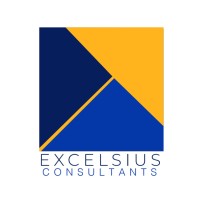 Excelsius Consultants logo - Similar company to Excelcius Ltd