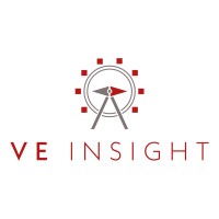 VE INSIGHT logo - Similar company to Exclusive Analysis