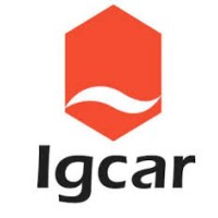 Igcar de México logo - Similar company to Latflex
