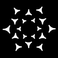 Polytope Labs logo - Similar company to Nillion
