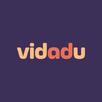 Vidadu logo - Similar company to Hive Group