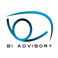 BI ADVISORY logo - Similar company to G Swift