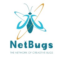 Netbugs Solutions & Services Llp