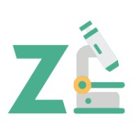 Zetta Labs logo - Similar company to Next Dev Nation
