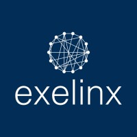 exelinx logo - Similar company to Skygaard