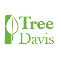 Tree Davis logo - Similar company to Roach & Campbell