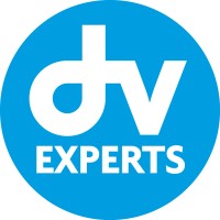 DV EXPERTS logo - Similar company to Pense A La Marge Consulting