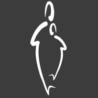 Karbone logo - Similar company to Karbone