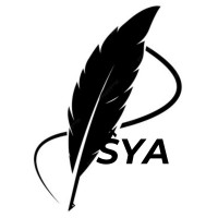 Save Your Audience logo - Similar company to Digital Accelerator