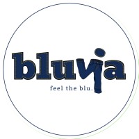 Bluvia logo - Similar company to Net Centric Computing Laboratory
