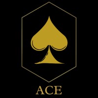ACE | Digital Marketing Agency logo - Similar company to Ulike Marketing