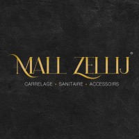 MallZellij officiel logo - Similar company to Beyondcom International Group