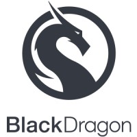 BlackDragon InforTech logo - Similar company to Blackdragon
