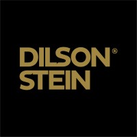 Dilson Stein New Models logo - Similar company to Be Modelos E Eventos