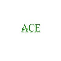 ACE Services Group Inc. logo - Similar company to Ace Services Group