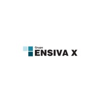 ENSIVA X BRASIL SERVIÇOS LTDA logo - Similar company to Grupo Infraporte Segurança E Serviços (11) 3412-3124