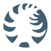Wild Pine Studio