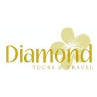 Diamond Tours & Travel logo - Similar company to Go Everywhere