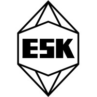 ESK-SIC GmbH logo - Similar company to Esd-Sic Bv
