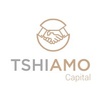 Tshiamo Capital logo - Similar company to Mbotho Advisory (Pty) Ltd