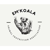 EM'Koala logo - Similar company to Arvik Ocean