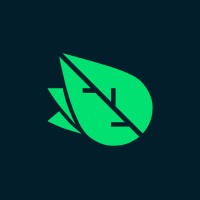 Leaf-animation studio logo - Similar company to 2Frames Studio