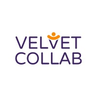 Velvet Collab logo - Similar company to Loadero